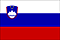 Sloveniska flaggan