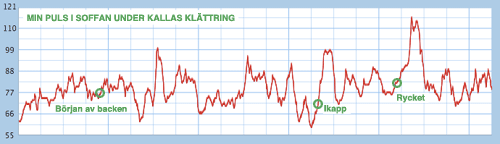 min-puls.gif